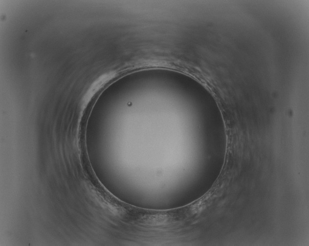 X0000073920104200608181059