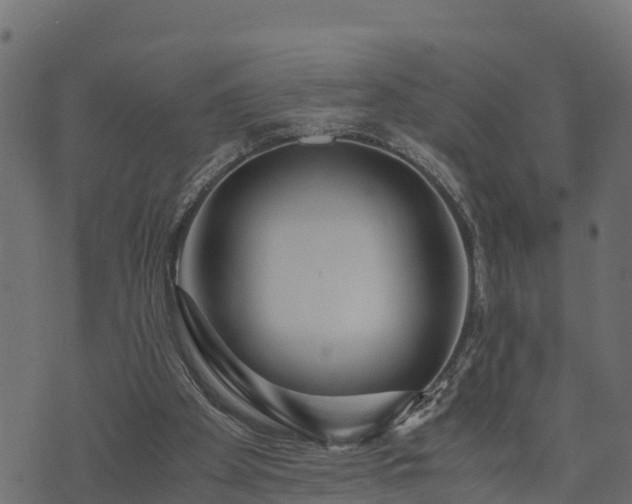 X0000073920105200608181059