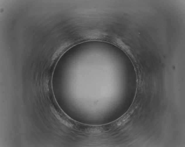 X0000073920106200608181059