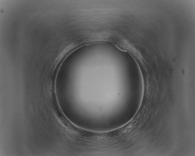 X0000073920107200608181059