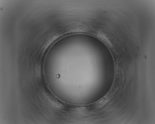 X0000073920108200608181059