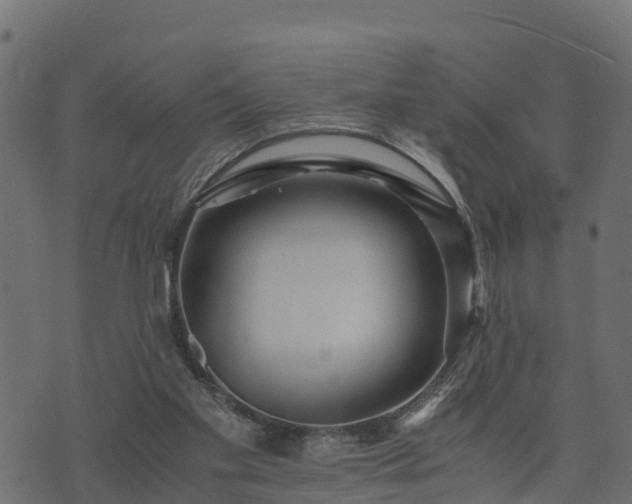 X0000073920109200608181059