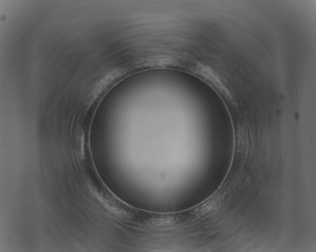 X0000073920110200608181059