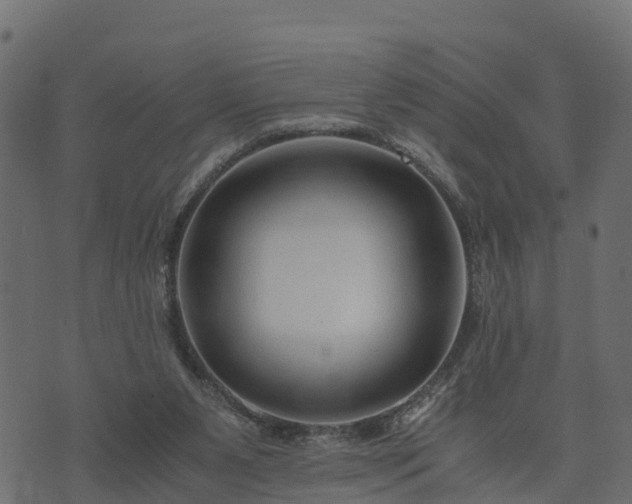 X0000073920111200608181059