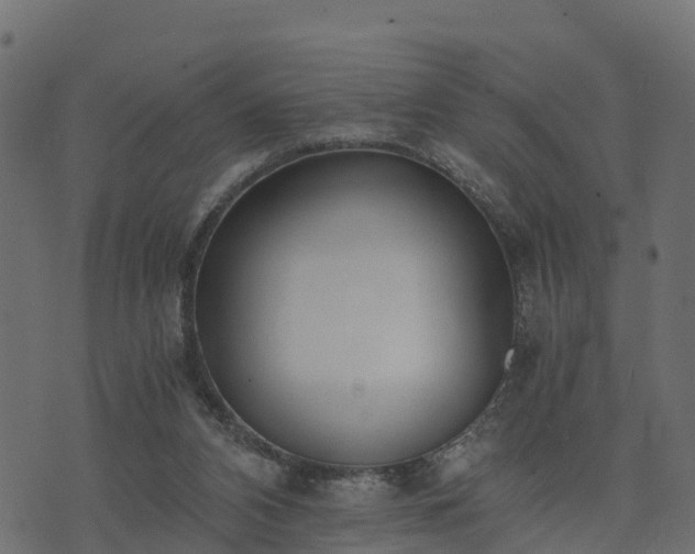 X0000073920112200608181059