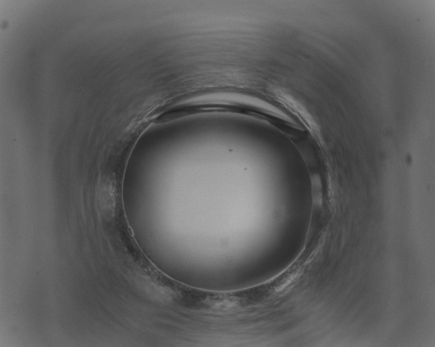 X0000073920113200608181059