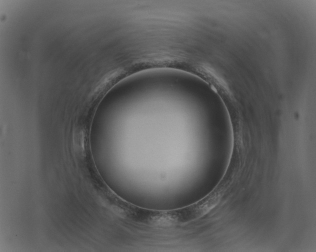 X0000073920115200608181059