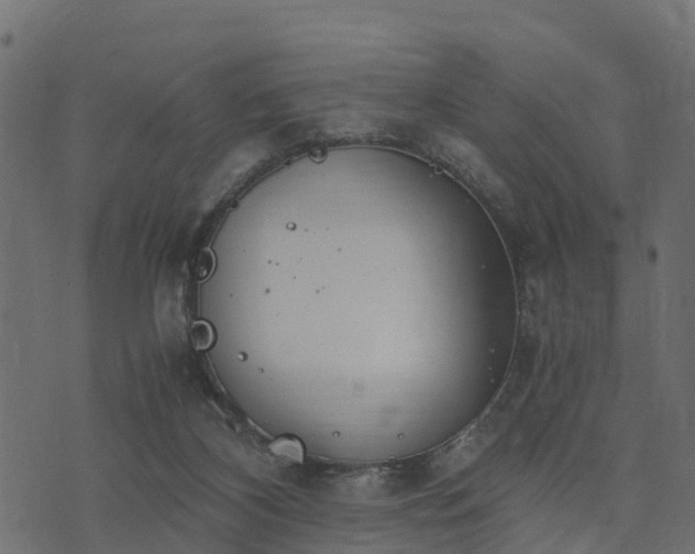 X0000073920116200608181059