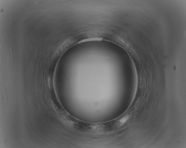 X0000073920117200608181059