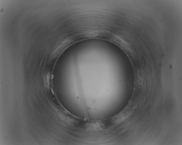 X0000073920118200608181059