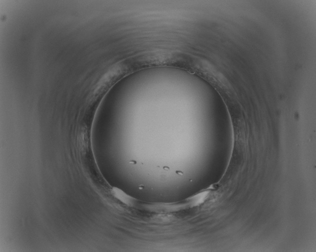 X0000073920119200608181059