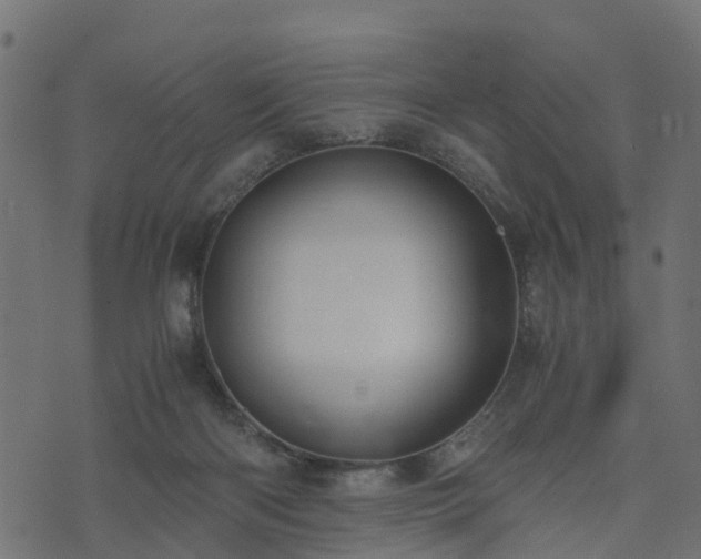 X0000073920122200608181059