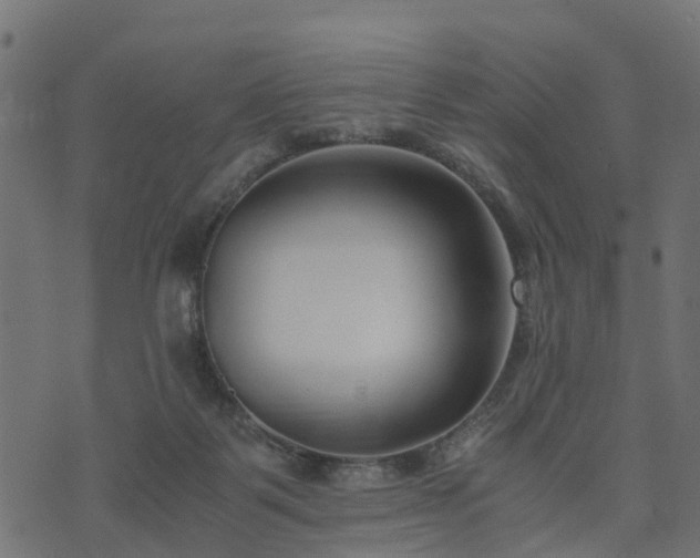 X0000073920123200608181059