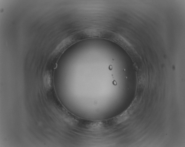 X0000073920124200608181059