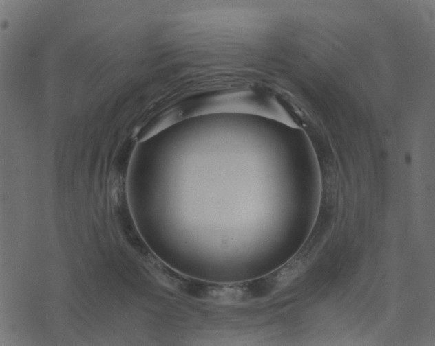 X0000073920125200608181059