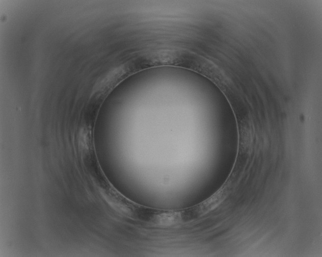 X0000073920126200608181059