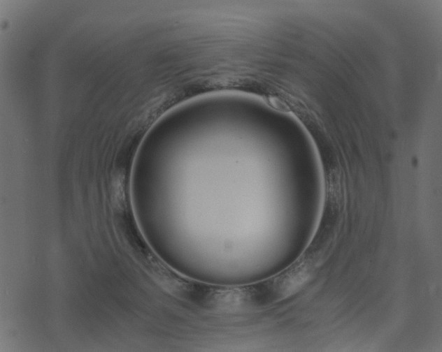 X0000073920127200608181059