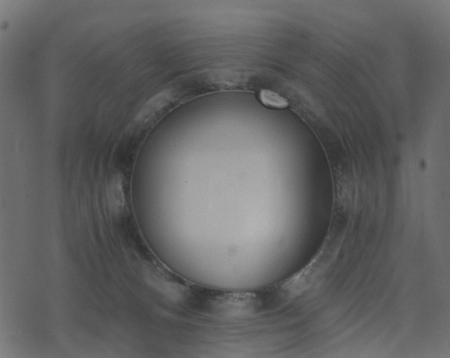 X0000073920128200608181059