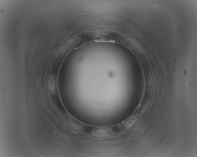 X0000073920129200608181059