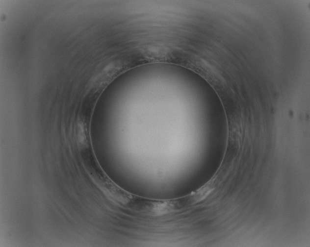 X0000073920130200608181059