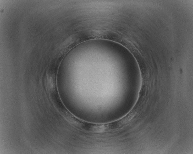 X0000073920131200608181059