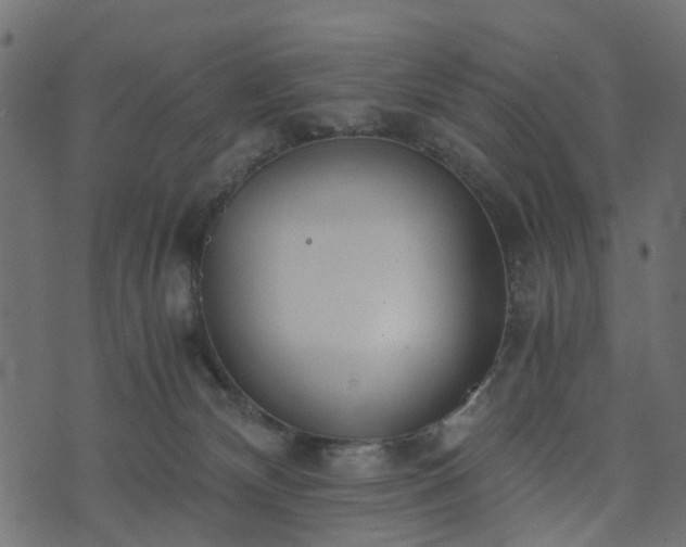 X0000073920132200608181059