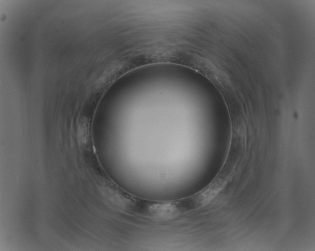 X0000073920133200608181059