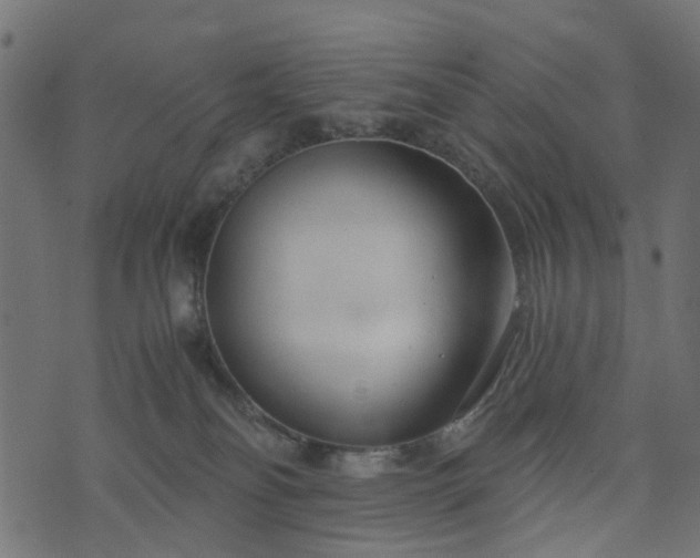 X0000073920134200608181058