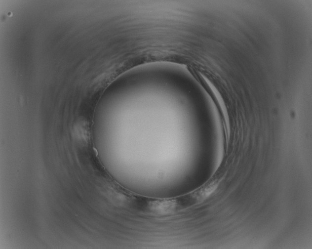 X0000073920135200608181058