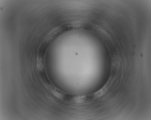 X0000073920136200608181058