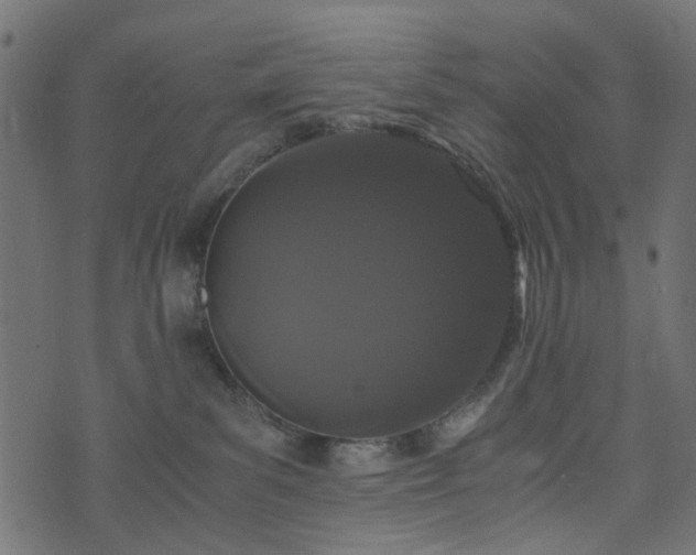 X0000073920139200608181058