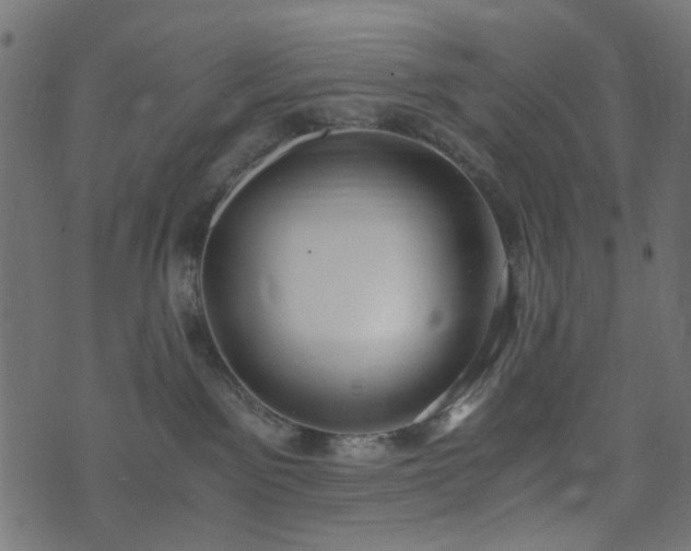 X0000073920141200608181058