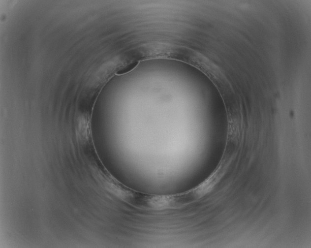 X0000073920142200608181058