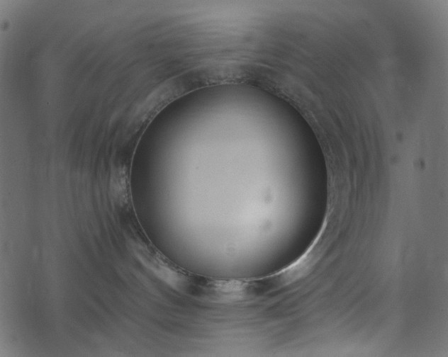 X0000073920144200608181058