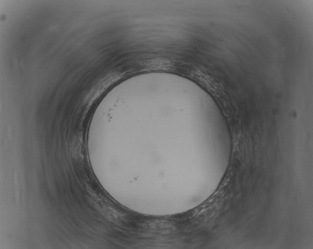 X0000073920146200608181058