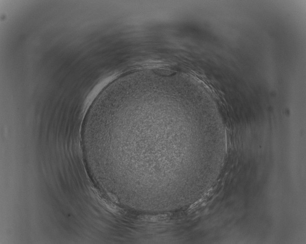 X0000073920147200608181058