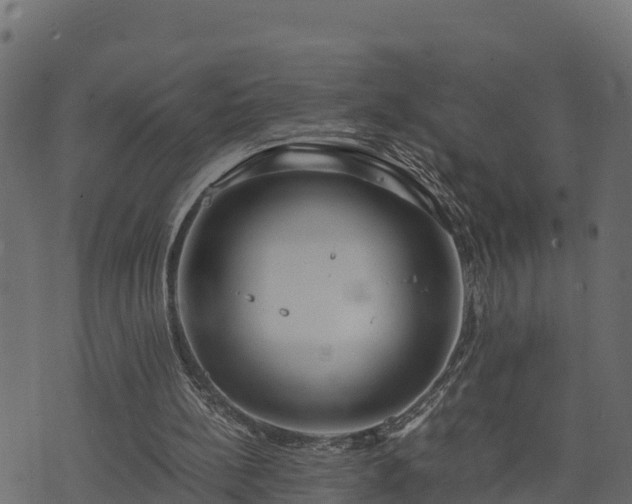 X0000073920148200608181058