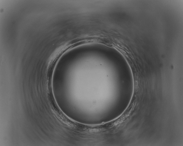 X0000073920149200608181058