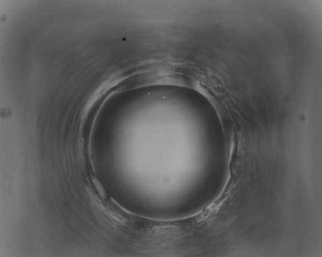 X0000073920150200608181058