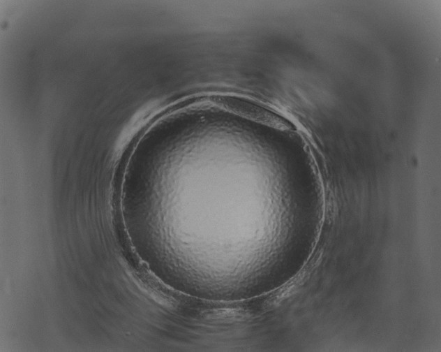 X0000073920151200608181058