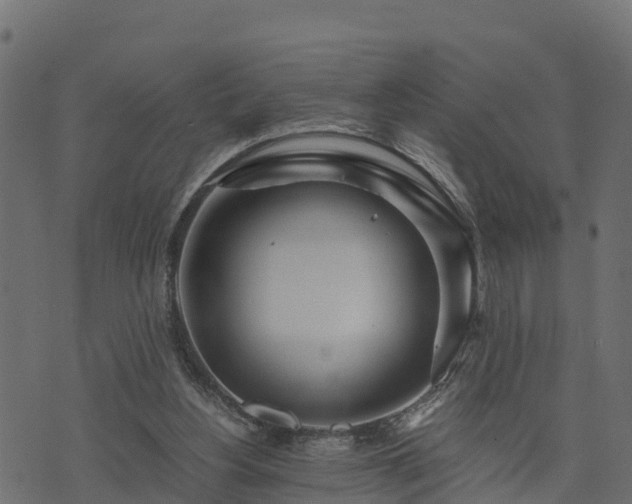 X0000073920156200608181058