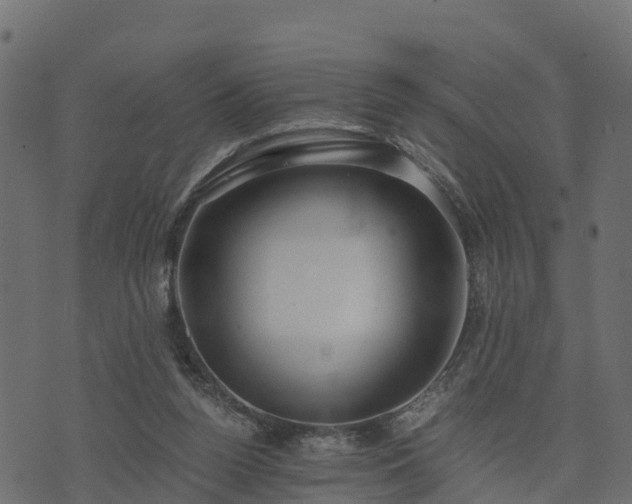 X0000073920160200608181058