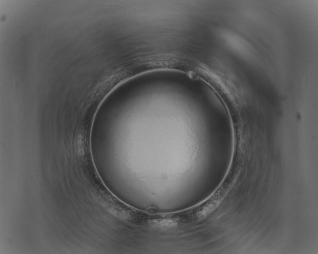 X0000073920161200608181058