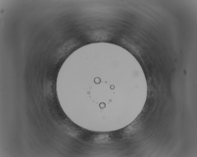 X0000073920162200608181058