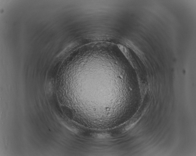 X0000073920165200608181058