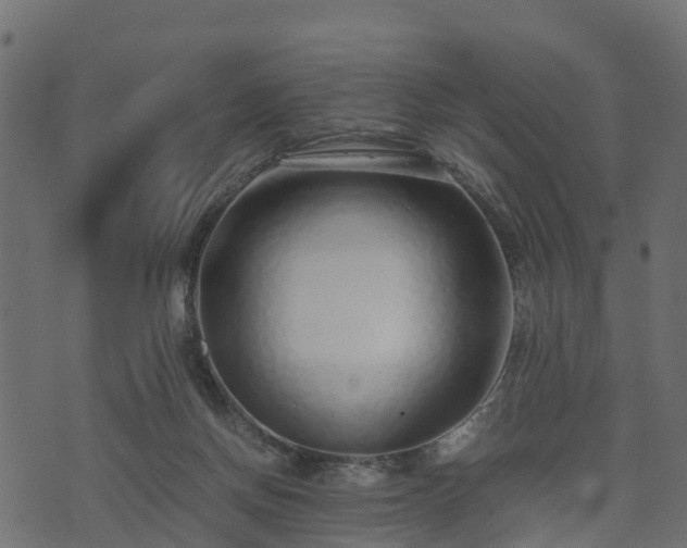 X0000073920166200608181058