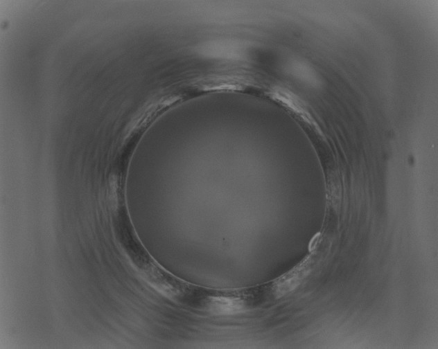 X0000073920167200608181058