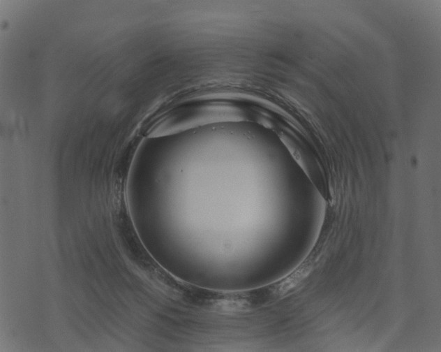 X0000073920168200608181058