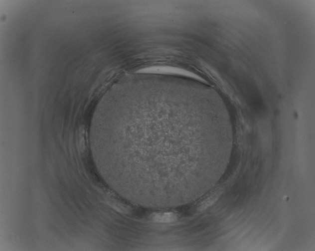 X0000073920169200608181058