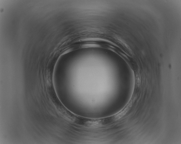 X0000073920170200608181058